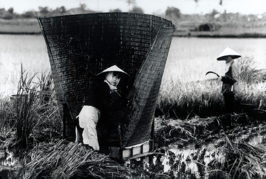 Hai người nữ nông dân trên cánh đồng mùa gặt, miền Nam Việt Nam năm 1967. Ảnh: Philip Jones Griffiths/ Magnum.