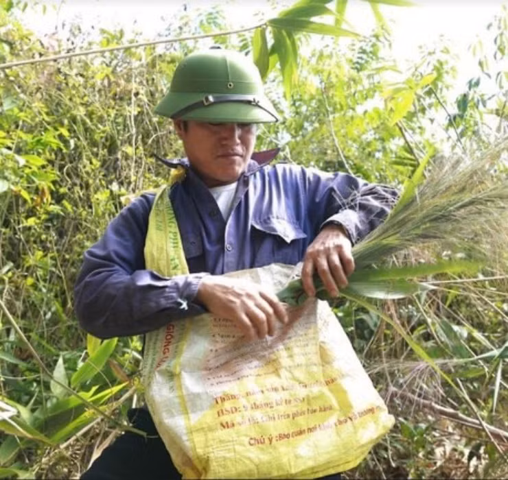 Loc troi 1 nam chi no 1 lan, muon hai phai lieu nhung kiem bon-Hinh-2