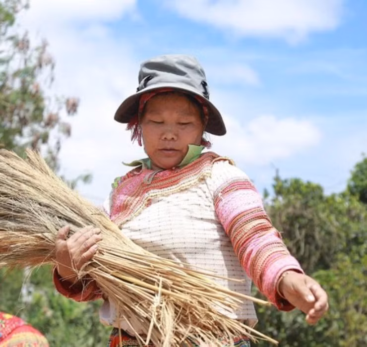 Loc troi 1 nam chi no 1 lan, muon hai phai lieu nhung kiem bon-Hinh-10