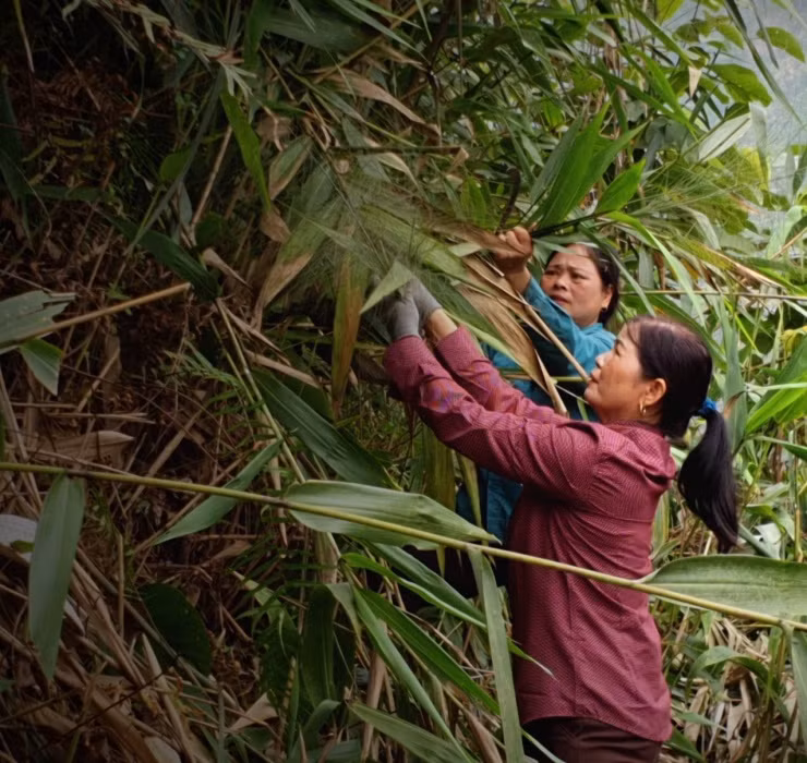 Loc troi 1 nam chi no 1 lan, muon hai phai lieu nhung kiem bon-Hinh-14