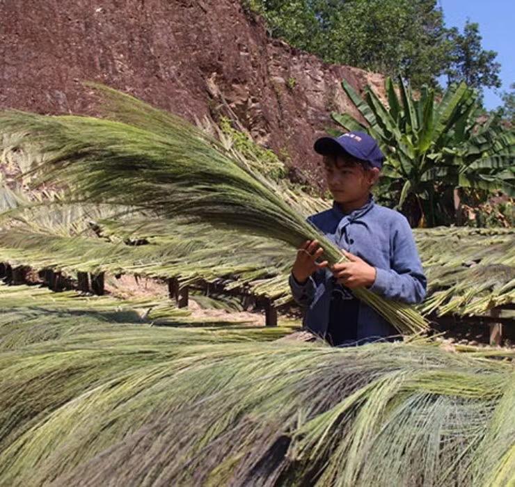 Loc troi 1 nam chi no 1 lan, muon hai phai lieu nhung kiem bon-Hinh-9
