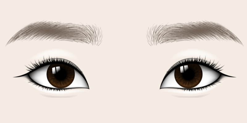 Người giàu có vận đỏ như son thường sở hữu 4 tướng lông mày này Nguoi giau co van do nhu son thuong so huu 4 tuong long may nay