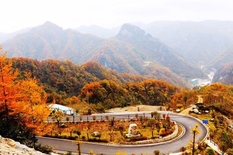 Các doanh nghiệp của làng tập trung sản xuất phốt phát, thuỷ điện, du lịch, sản xuất rượu...