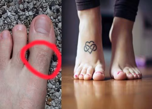 Lông mọc trên ngón chân. Theo nhân tướng học, ngón chân có lông là người có cường khí dương, tinh lực dồi dào, khỏe mạnh, sung mãn. Người này được dự đoán là có ý chí, có tham vọng và mục tiêu rõ ràng trong cuộc sống. Họ muốn điều gì thì sẽ làm cho bằng được.