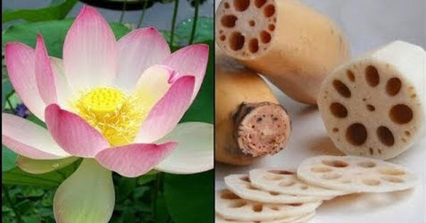 4 loai rau 'chat dong' ky sinh trung, mac o benh neu khong che bien sach-Hinh-2