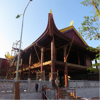 Bên cạnh thú chơi cây cảnh, sưu tầm đồ cổ và gỗ quý, Minh “sâm” còn đầu tư xây dựng hẳn một “cung điện” cho mình. Đây có thể gọi là một công trình để đời của Minh “sâm”, vật liệu xây dựng đều được lựa chọn kỹ càng, hoàn toàn bằng những loại gỗ quý.