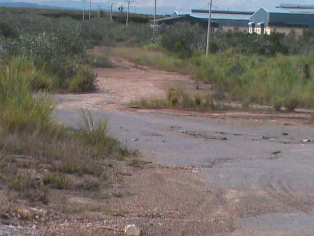 M ột số nhà máy, doanh nghiệp được xây dựng trong khu công nghiệp nhưng chưa kịp sản xuất ngày nào đã bỏ hoang.