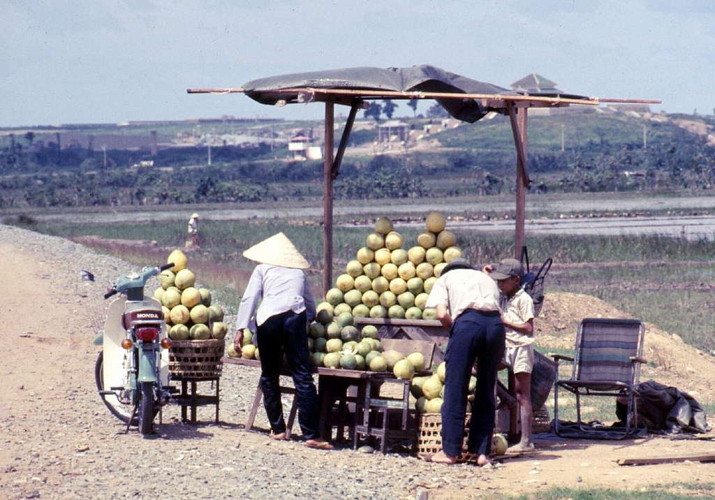 Sạp bán bưởi bên xa lộ, ở lối vào nghĩa trang Biên Hòa. Ảnh: Fred Mucciardi.