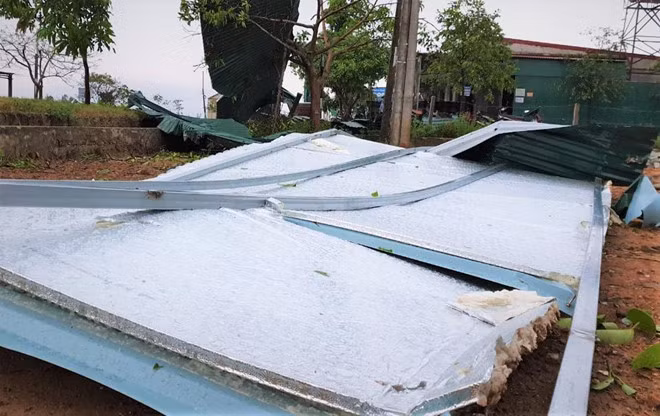 Mua lon kem loc xoay thoi bay hon 100 mai nha