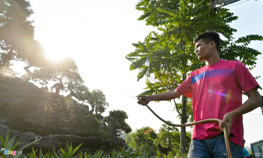 Hội chợ làng nghề Lệ Mật kết hợp trưng bày sinh vật cảnh quận Long Biên (Hà Nội) đang thu hút nhiều nhà vườn mang cây cảnh “khủng” đến trưng bày. Trong đó nổi bật nhất là bộ tiểu cảnh từ 15 cây tùng la hán trên gốc cây sao đen, có giá khoảng 3 tỷ đồng.