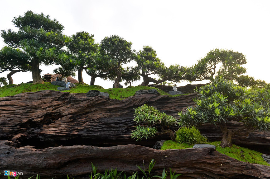 Anh Dũng, chủ nhân của bộ tiểu cảnh, cho biết anh mất khoảng 2 năm để hoàn thành tác phẩm này. Ban đầu, anh phải thuê một cần cẩu trong một tuần để xoay lật gốc cây, chọn ra thế ưng ý nhất tạo hình.