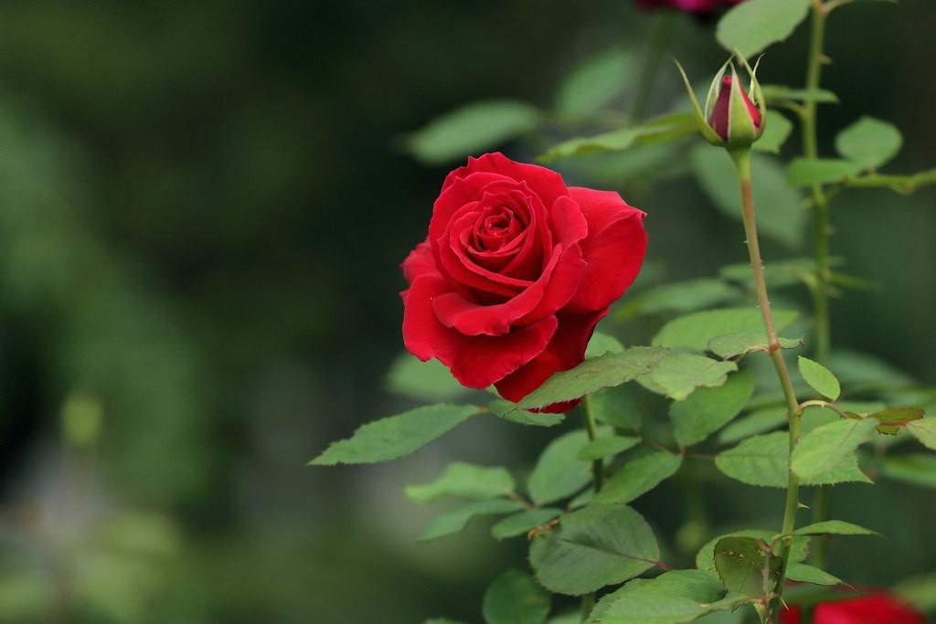 Người sinh vào 3 tháng Âm lịch này kiên định, quyết tâm, không bỏ cuộc - Hình 2 Nguoi sinh vao 3 thang Am lich nay kien dinh, quyet tam, khong bo cuoc-Hinh-2