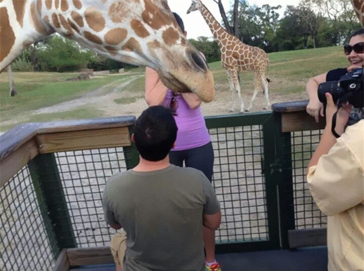 Thấy người khác hạnh phúc là tôi không chịu được.