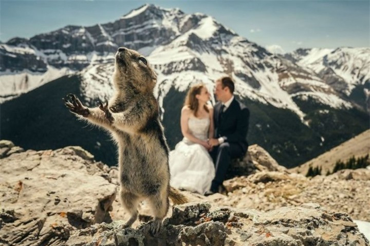 Tâm trạng của những người FA khi thấy ai đó đang hạnh phúc.