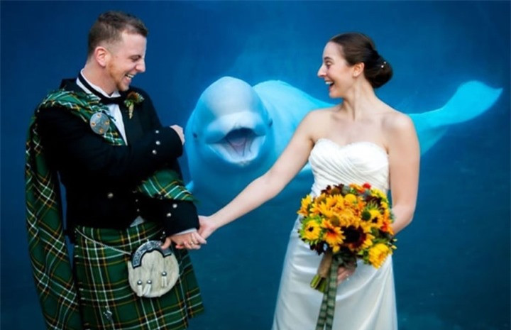 Làm gì vui vậy, cho tham gia với!