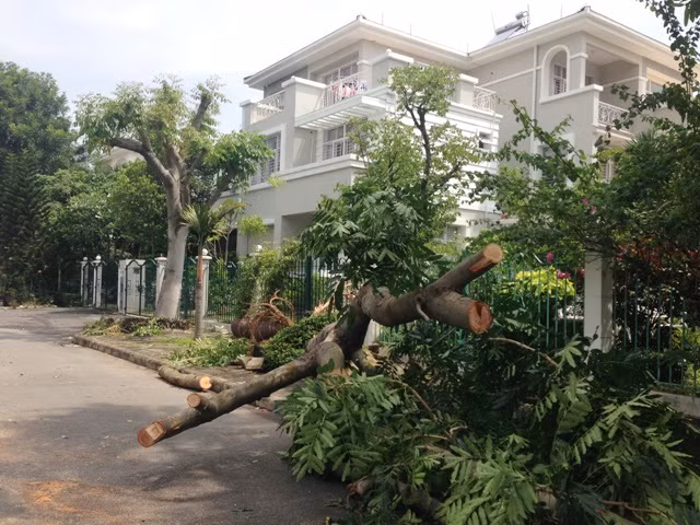 Người dân cư ngụ tại đây khẳng định: Hàng chục năm qua họ mới chứng kiến sự cố mưa gió gây thiệt hại lớn như thế này xảy ra ở Khu đô thị Phú Mỹ Hưng.