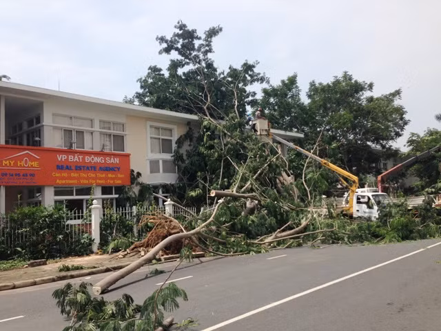 Nhiều cây xanh cao to bị đổ đè vào nhà dân ở Khu dân cư.