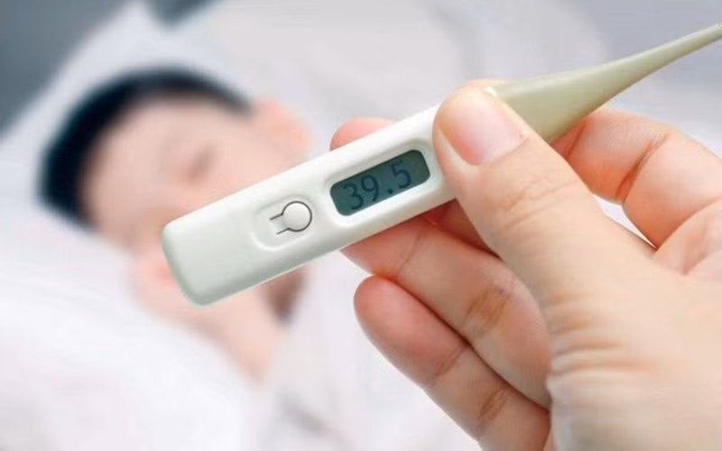 Giảm sốt: Giã nát một ít lá húng chanh cùng với một ít muối, sau đó trộn với một ít nước sôi để nguội và vắt lấy nước uống sẽ giúp giảm sốt và tăng nhanh quá trình phục hồi.