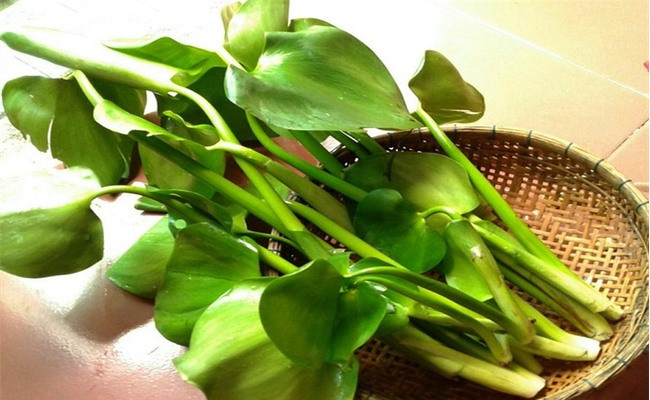 Hiện, mỗi kg thân bèo đã bỏ lá, bỏ rễ, rửa sạch phơi khô có giá dao động từ 9.000 - 20.000 đồng.