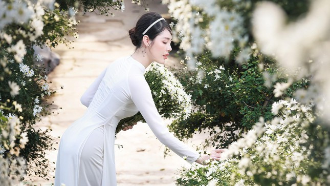 Trong chiếc áo dài trắng tinh khôi, hot girl Phú Thọ đã thể hiện trọn vẹn nét trong trẻo, thuần khiết của người thiếu nữ Việt bên loài ‘hoa báo đông’.