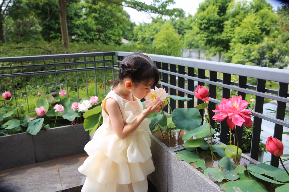 Me man dam sen tren ban cong cua me tre Ha thanh-Hinh-7