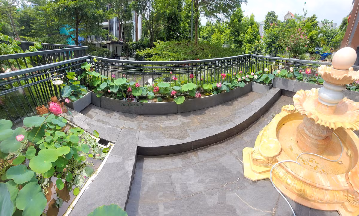 Me man dam sen tren ban cong cua me tre Ha thanh-Hinh-5