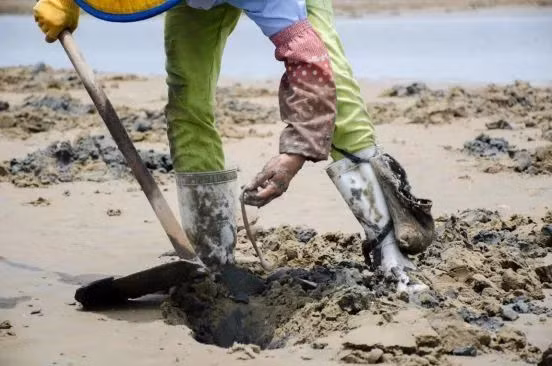 Đặc sản tiến vua thơm ngon bổ dưỡng, hàng thượng phẩm "đắt như vàng" - Hình 4 Dac san tien vua thom ngon bo duong, hang thuong pham