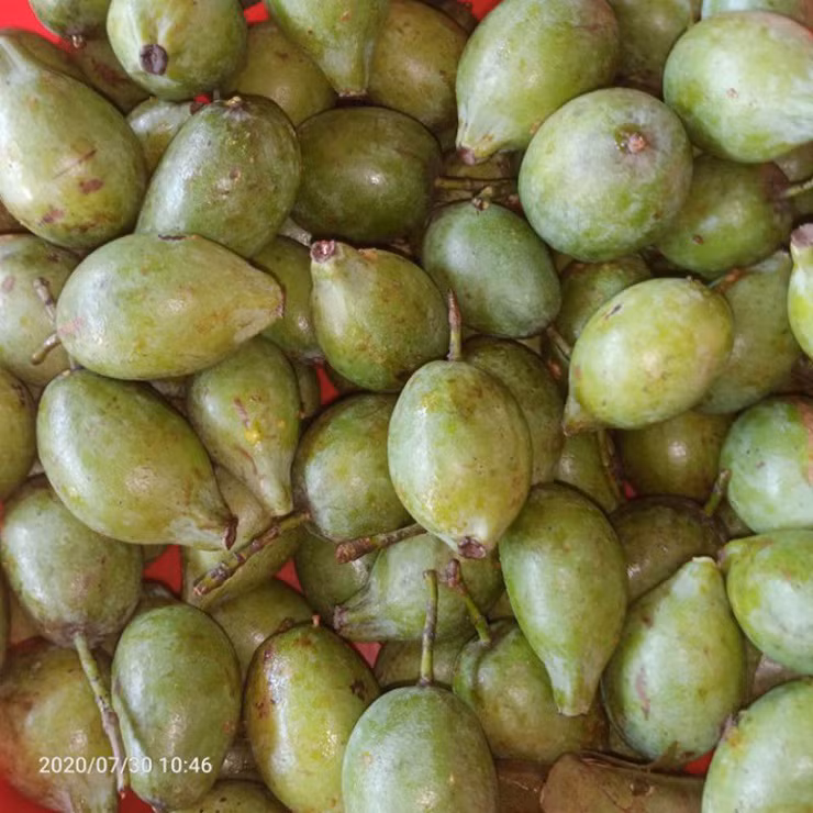 Quả tươi rửa sạch rồi cho vào bếp than nướng đến khi vỏ ngả sang vàng để bớt nhựa, sau đó tách ra bỏ phần hạt đi, dùng phần cùi để chế biến.