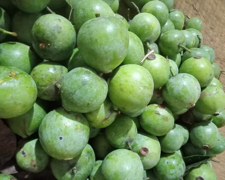 Nếu có dịp đến với Tây Bắc, chắc hẳn bạn đã được thưởng thức món canh chua nấu từ dọc và vị chua đặc trưng nơi đây.