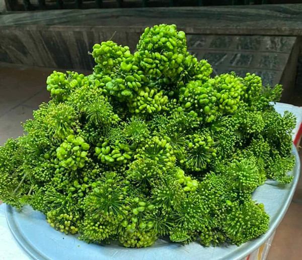 Ky la loai hoa gia 8 trieu/kg, khach van xuong tien mua ngam ruou-Hinh-3