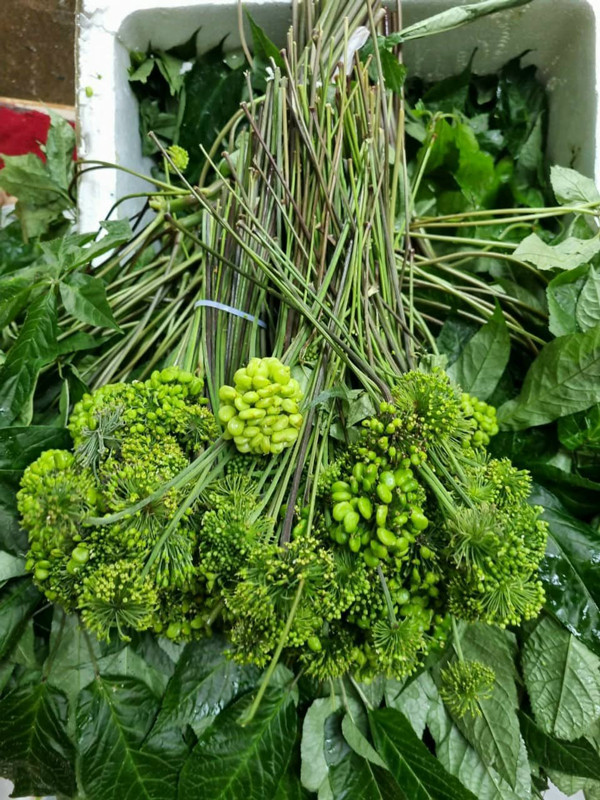 Ky la loai hoa gia 8 trieu/kg, khach van xuong tien mua ngam ruou-Hinh-4