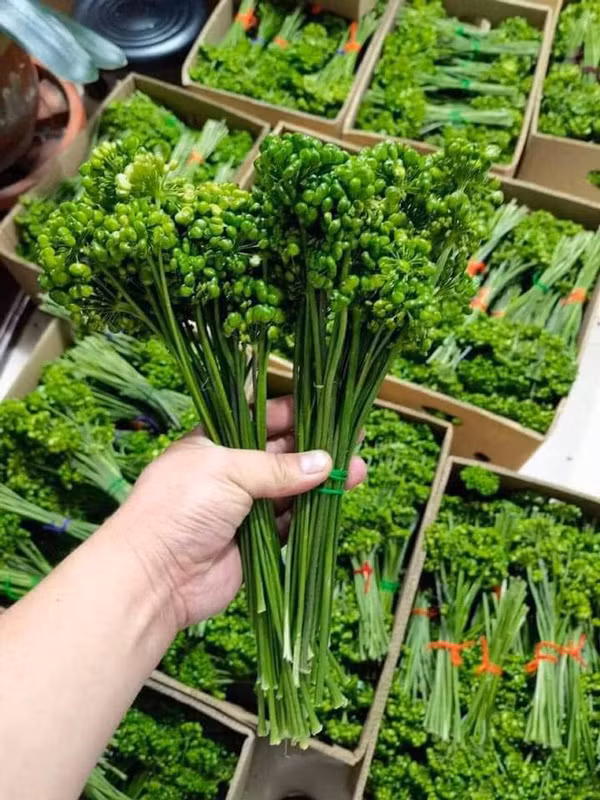 Ky la loai hoa gia 8 trieu/kg, khach van xuong tien mua ngam ruou