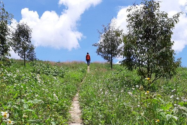 Vo khong chiu dua tien cho toi dau tu vi muon sinh con