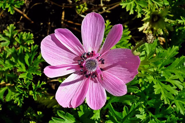 Ai sinh thang Am lich nay vuong van quy nhan, su nghiep phat trien