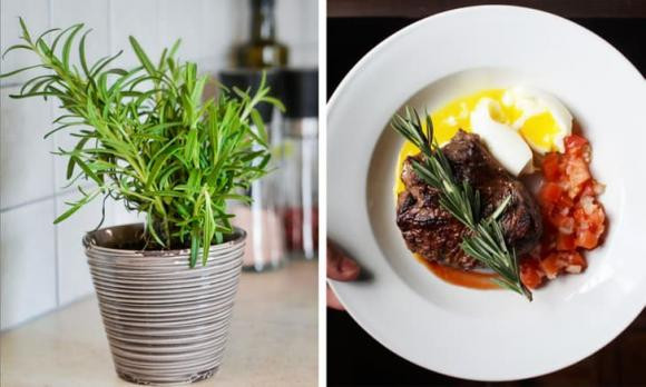 Trong nha nen trong 10 loai cay canh nay, vua thom lai tot-Hinh-6