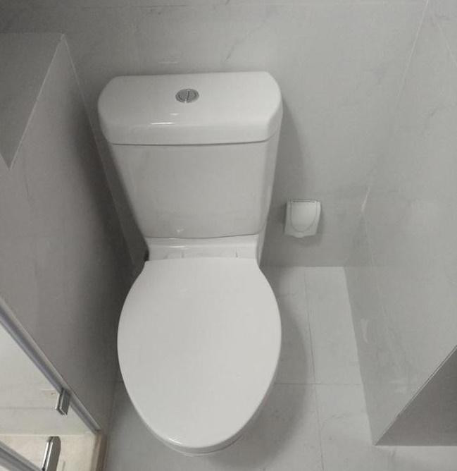 Chay mau mui khi ve nha moi, gia chu to can ho co doc to