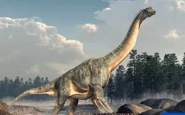 Xay nha moi, nguoi dan ong phat hien hoa thach bo xuong khung long