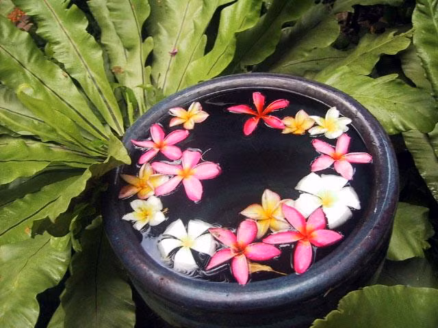 Hiện nay, phong thủy trở nên phổ biến hơn bao giờ hết. Ngày càng có nhiều người hiểu rằng khi gia đình và công việc không thuận lợi, bất hòa thì có thể tạo ra những điều không may mắn đến các mối quan hệ cũng như sự nghiệp.