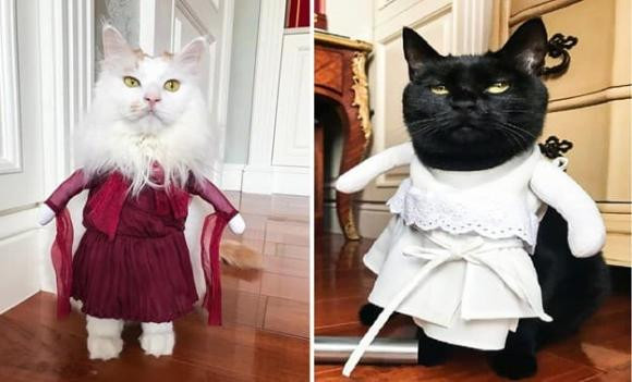 Luu Diec Phi khoe anh di choi cung hoi ban gai-Hinh-15