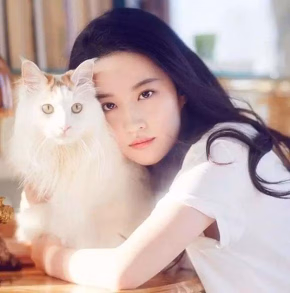 Luu Diec Phi khoe anh di choi cung hoi ban gai-Hinh-9