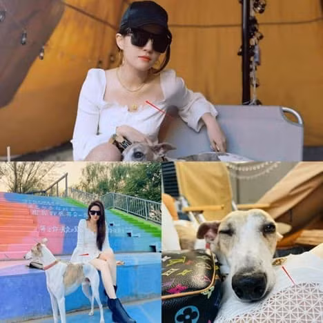 Luu Diec Phi khoe anh di choi cung hoi ban gai-Hinh-6