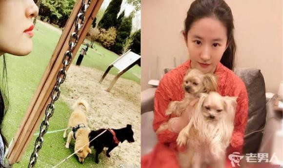 Luu Diec Phi khoe anh di choi cung hoi ban gai-Hinh-14