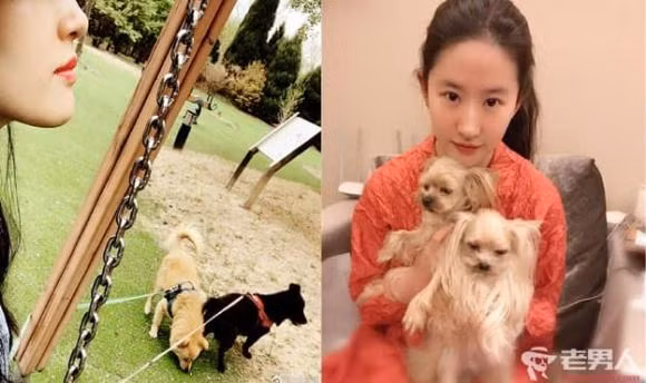 Luu Diec Phi khoe anh di choi cung hoi ban gai-Hinh-14