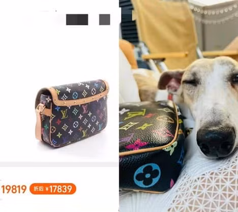 Luu Diec Phi khoe anh di choi cung hoi ban gai-Hinh-5