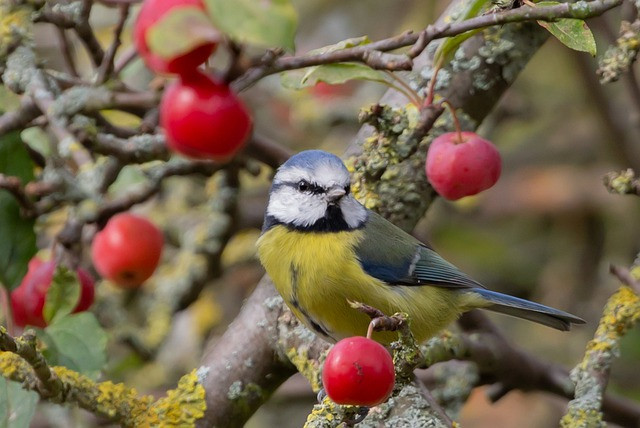 Gia đình có con giáp này, phúc khí từ trên trời rơi xuống - Hình 3 Gia dinh co con giap nay, phuc khi tu tren troi roi xuong-Hinh-3