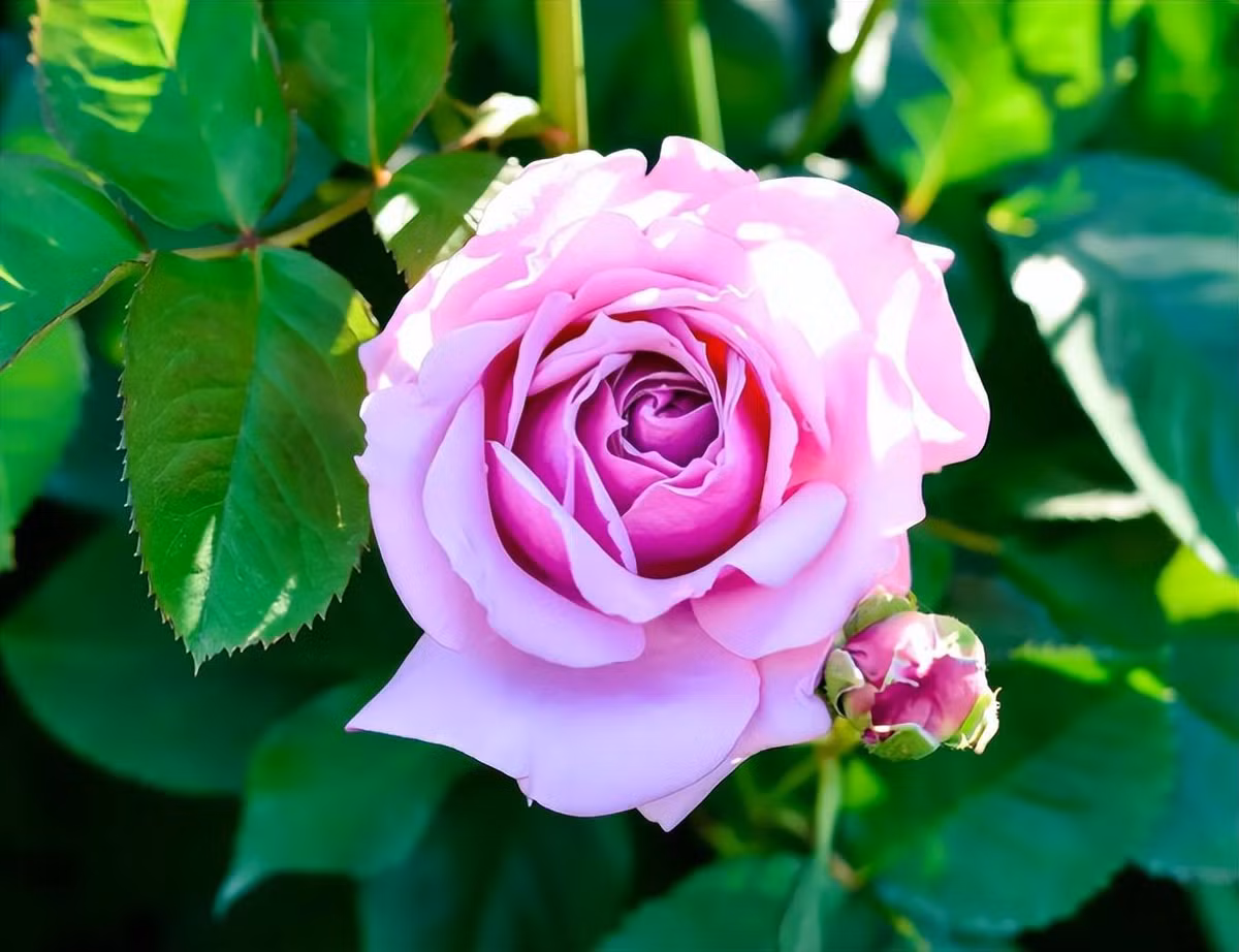 Tre sinh vao 3 thang Am lich nay la bau vat cua gia dinh