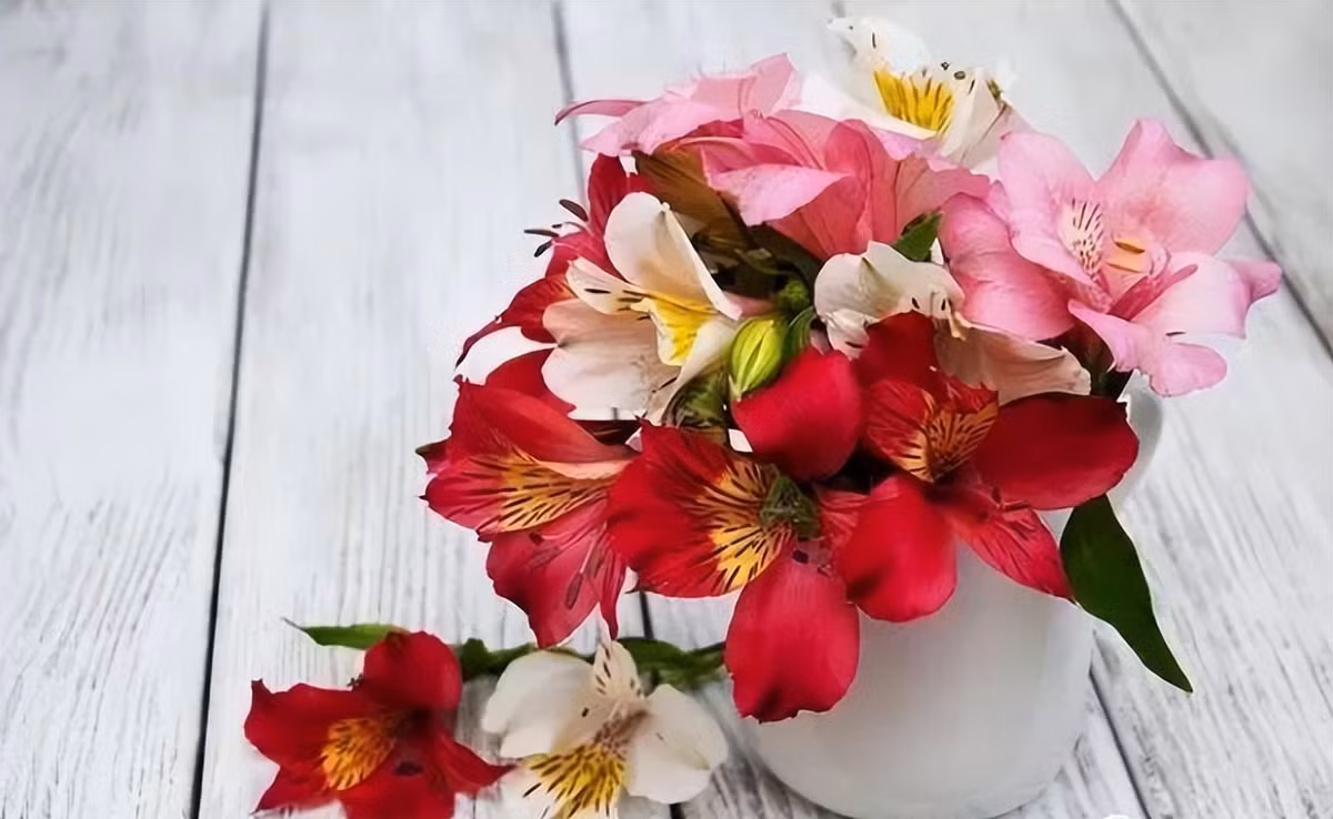 Tuan moi (24/10 - 30/10/2022): 3 con giap sao tot chieu menh, hai loc moi tay-Hinh-2