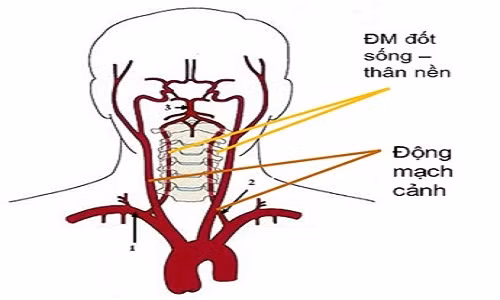 Ảnh minh họa. Ảnh minh họa.