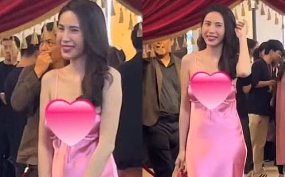 Boc gia bo vay gay tranh cai cua Thuy Tien-Hinh-2