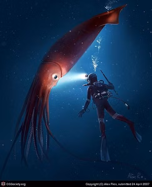 Với loài mực khổng lồ, chúng phải nghiền thức ăn thành từng miếng nhỏ bởi lúc nuốt, thức ăn phải đi qua bộ não trước khi đi xuống thực quản.